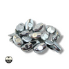 Silver Baitfish