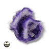 Purple/Black over White