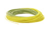 Premier RIO Gold