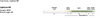 RIO Premier LightLine