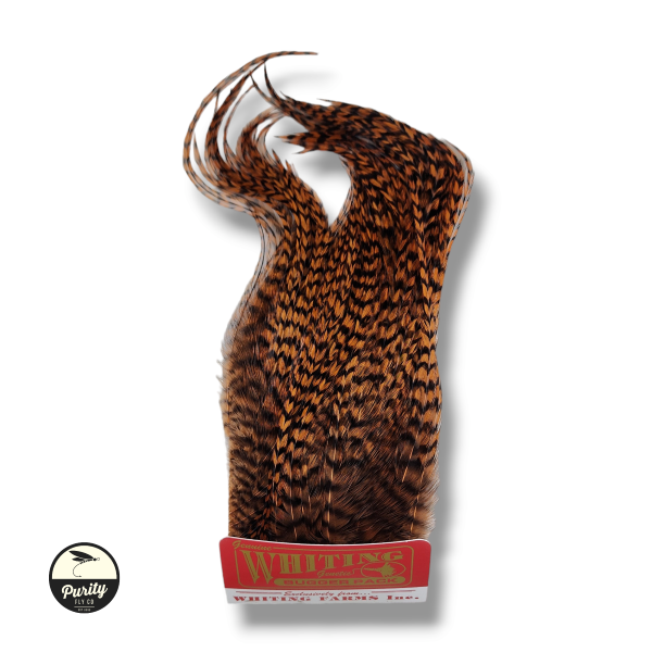 Grizzly Brown