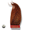 Grizzly Burnt Orange