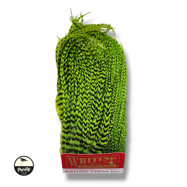Grizzly Chartreuse