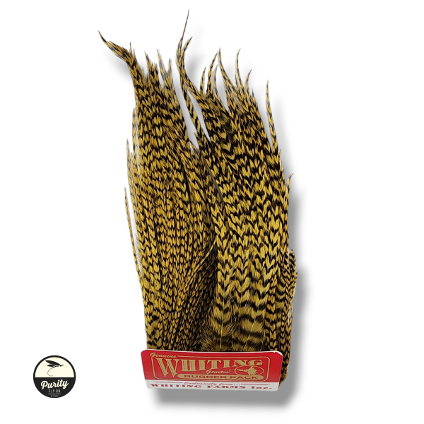 Grizzly Golden Olive