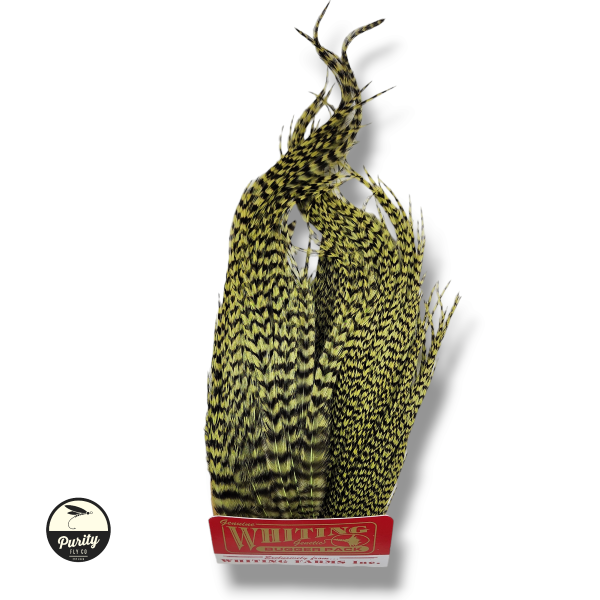 Grizzly Olive