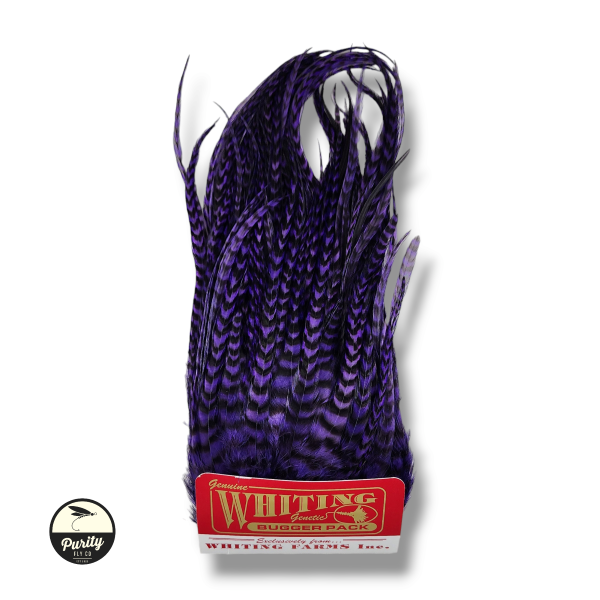 Grizzly Purple