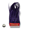 Grizzly Purple