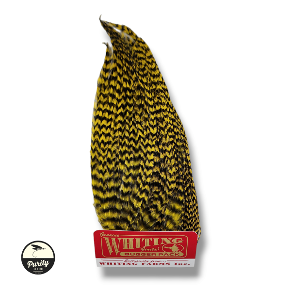 Grizzly Yellow