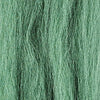 Galapagos Olive