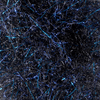 Black Blue