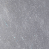 Silver Minnow