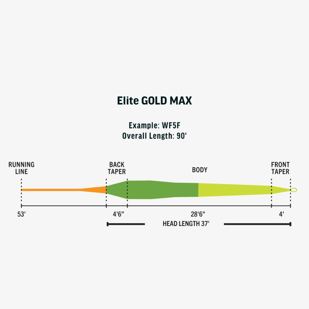 RIO Elite Gold MAX