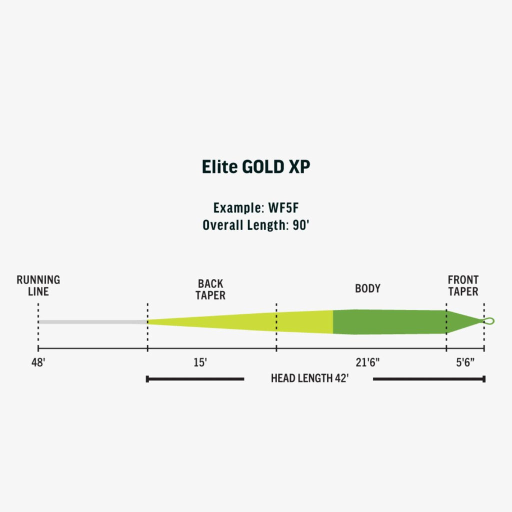 RIO Elite Gold XP