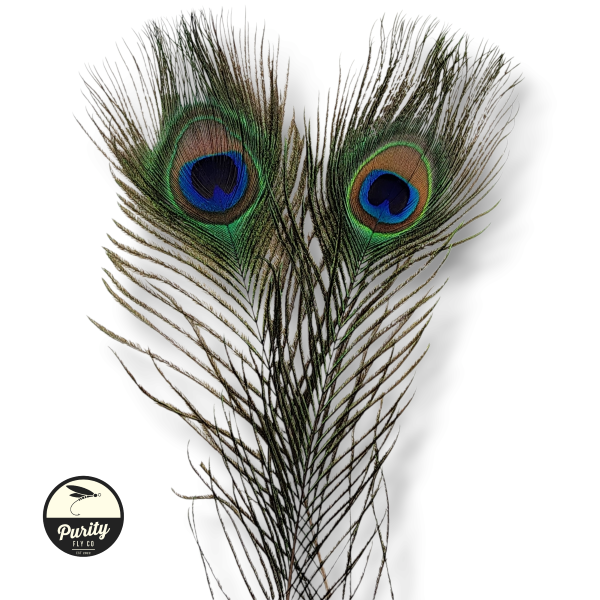 Peacock Eyes