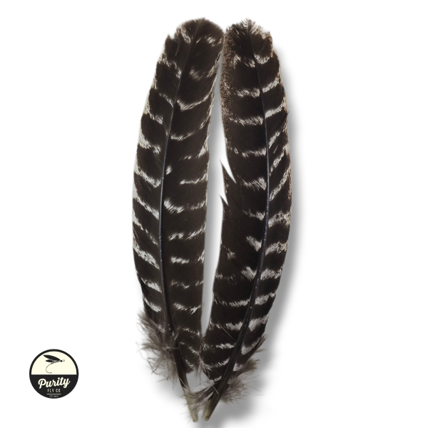 Ozark Turkey Quill