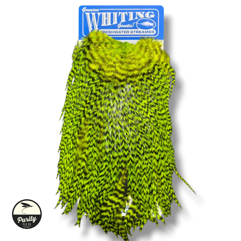 Whiting Freshwater Streamer Saddles