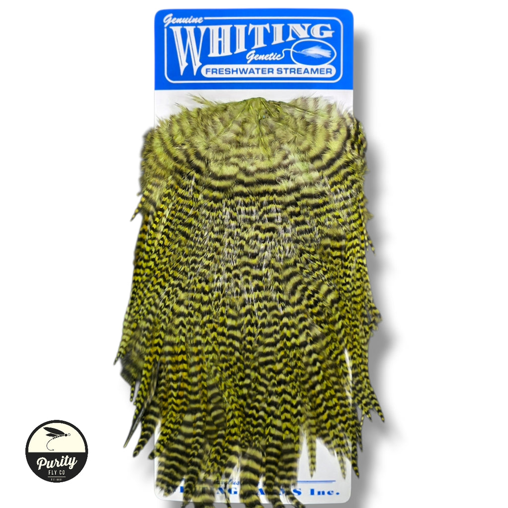 Whiting Freshwater Streamer Saddles
